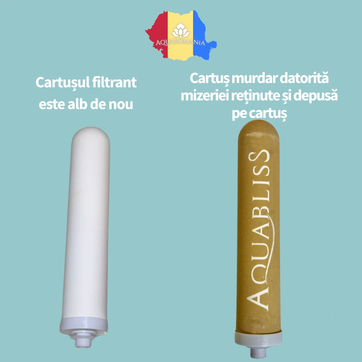 cartus inainte si dupa